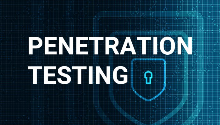 Enterprise VAPT Audit